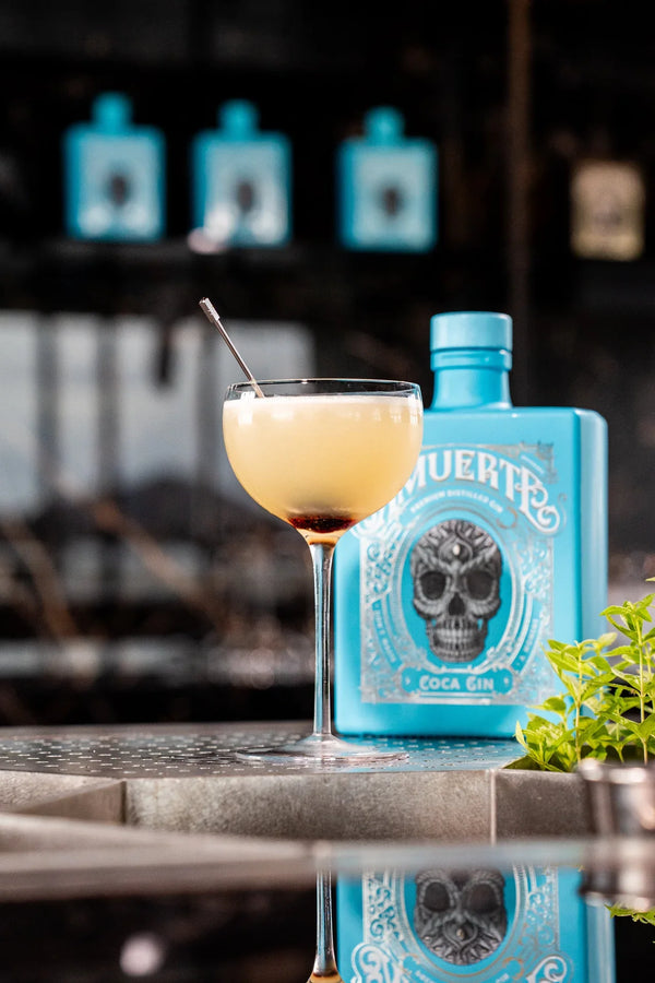 Gin Sour