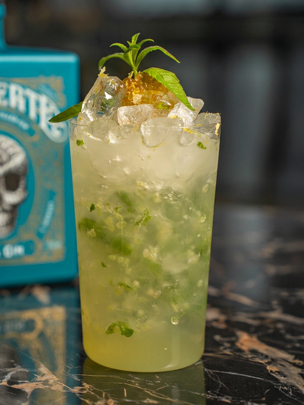 Gin Fizz